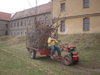 fr. Jakub Maria sv�� v�tve