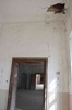 St�echou zat�kalo a� do m�stnost� a po�kozen� okapy se na budov� t� podepsaly